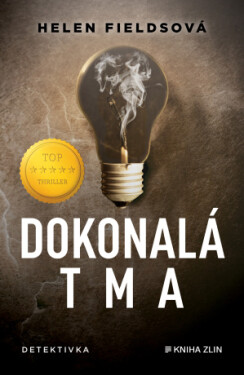 Dokonalá tma - Helen Fieldsová - e-kniha