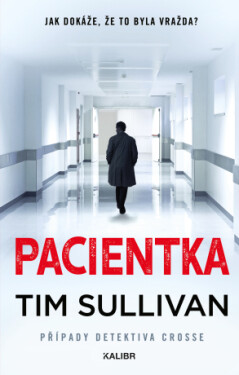 Pacientka - Tim Sullivan - e-kniha