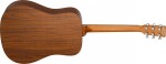 Tanglewood TM5