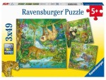 Ravensburger Zvířata džungli