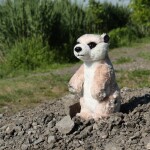 Plyšová surikata stojící, 14 cm ECO-FRIENDLY