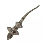 Safari Ltd. Safari Ltd. Figurka - Žralůček
