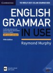 English Grammar in Use