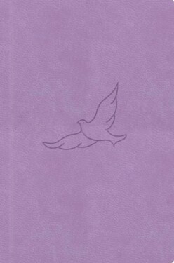 Bible21 – kapesní