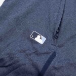Nike Pánské kraťasy Tampa Bay Rays MLB 2025 Authentic Collection Shorts Velikost: S