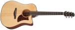 Ibanez AAD300CES Natural