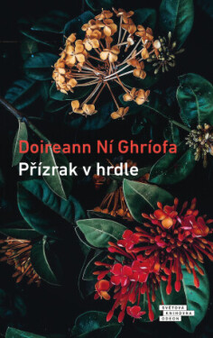 Přízrak v hrdle - Ní Ghríofa Doireann - e-kniha