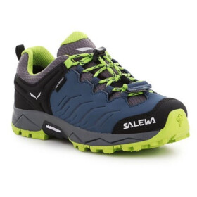 Dětské trekové boty Salewa Jr Mtn Trainer 64008-0361 EU