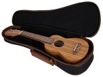 Ortega RFU10Z (rozbalené)