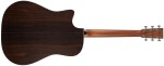 Furch Vintage 1 Dc-SR CNR Active