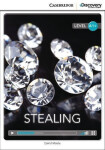 Stealing High Beginning Book with Online Access - David Maule