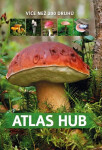 Atlas hub