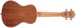Bamboo U-23 Kani