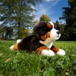 Plyšový bernský salašnický pes 30 cm