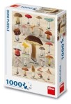 Puzzle 1000 Houby koláž