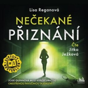 Nečekané přiznání Lisa Reganová audiokniha