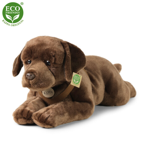 Eco-Friendly RAPPA pes labrador 61 cm