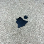 Pinarna.cz Hnědá kočička s knihou a kafíčkem