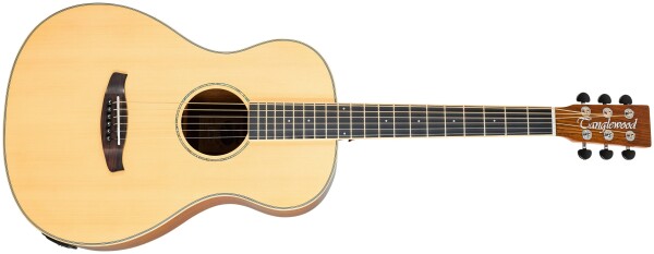 Tanglewood TRX8E
