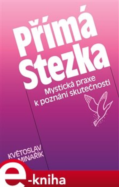 Přímá stezka. Mystická praxe k poznání skutečnosti - Květoslav Minařík e-kniha