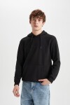 DEFACTO Regular Fit Hooded Printed Sweatshirt