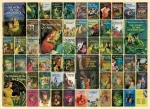 COBBLE HILL Puzzle Nancy Drew