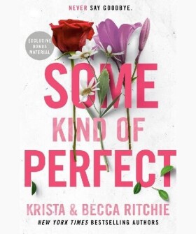 Some Kind Of Perfect Becca Ritchie