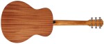 Taylor GS Mini Sapele