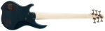 Dingwall NG3 Nolly Signature 6 MN Black Forest Green