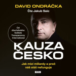 Kauza Česko - David Ondráčka - audiokniha