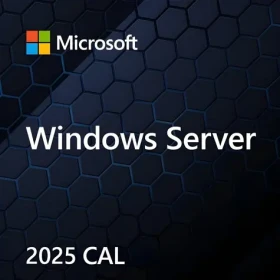 MS Windows Server CAL 2025 / Přístupová licence / 1 CAL (EP2-25286)