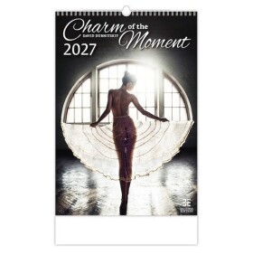 Kalendář nástěnný 2027 - Charm of the Moment