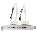 Lindy Slotblech USB adaptér / Redukce / 2x USB-A - 2x IDC 5pin / 0,2 m (33147)