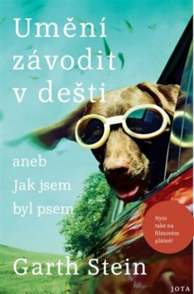 Umění závodit v dešti - Garth Stein