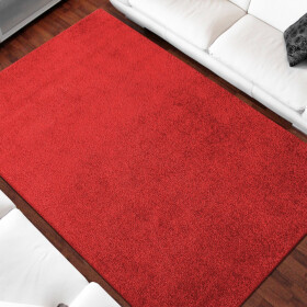 DumDekorace Jednobarevný koberec červené barvy