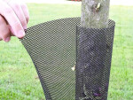 Ochrana kmenů proti okusu zvěří (síť) Flexguard 11 cm, délka cm, ks balení