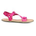 Froddo G3150284-4 Fuxia AD