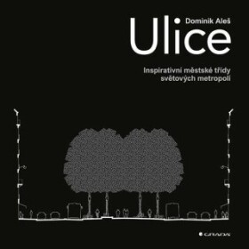 Ulice - Dominik Aleš - e-kniha