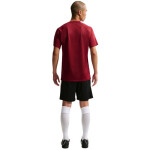 Nike Dri-Fit Park VIII pánské tričko bordó HV8173 677 pánské XL