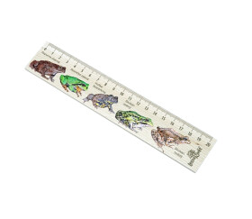 Dřevěné pravítko 20 cm - Žáby