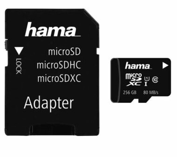 Hama microSDXC Class 10 UHS-I 256 GB 124171