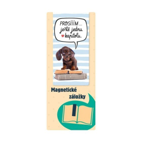 Magnetická záložka