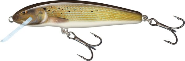 Salmo Wobler Minnow Sinking 5cm - Grayling,Salmo Wobler Minnow Sinking 5cm - Grayling