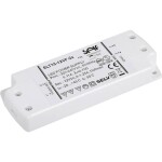 BIG WHITE (SLV) Můstkový LED driver 42 W, 500 mA pro NUMINOS®, včetně radiofrekvenčního rozhraní pro modul RF, DALI 1006459