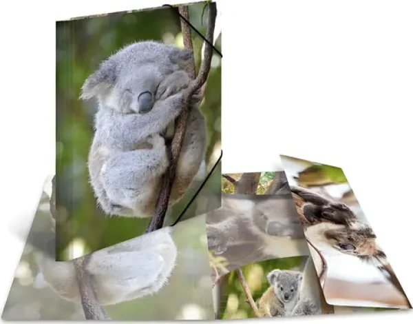 HERMA Desky s gumičkou Koala / Desky na dokumenty / A4 / Polypropylen / Lesklé / 3 chlopně (19323)