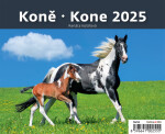 Stolní kalendář 2025 Koně