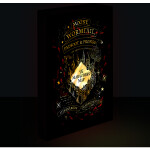 Harry Potter obraz LED svítící 30x40 cm - Pobertův plánek - EPEE