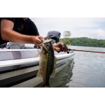 Berkley Wobler Choppo Bone,Berkley Wobler Choppo Bone