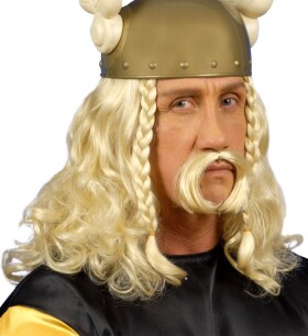 R-Kontakt.cz Paruka Galská s knírem