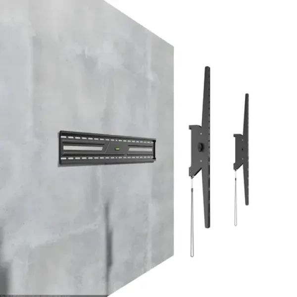 Nástěnný držák TV černý / Držák TV / 43-100" / nosnost 75 kg / VESA do 900x600 (WM-100T-01)